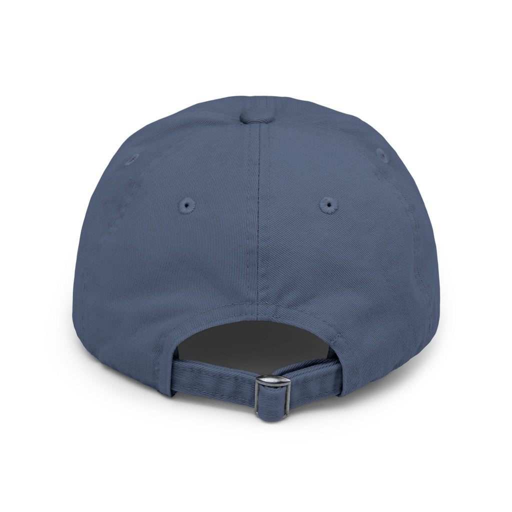 "The American Revolution Project" - Distressed baseball cap